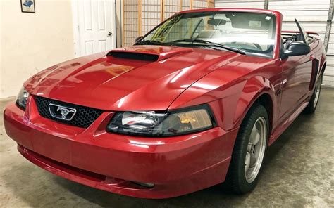 11K Mile Survivor: 2002 Ford Mustang GT Convertible | Barn Finds