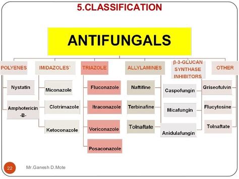 antifungal drugs classification