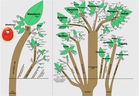 The Root of All Human Languages - AngMohDan