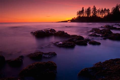 Hikers Prepare To Vie For West Coast Trail Reservations