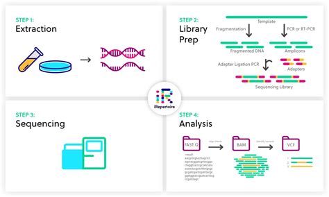 Covid 19 genome sequence analysis - holywest