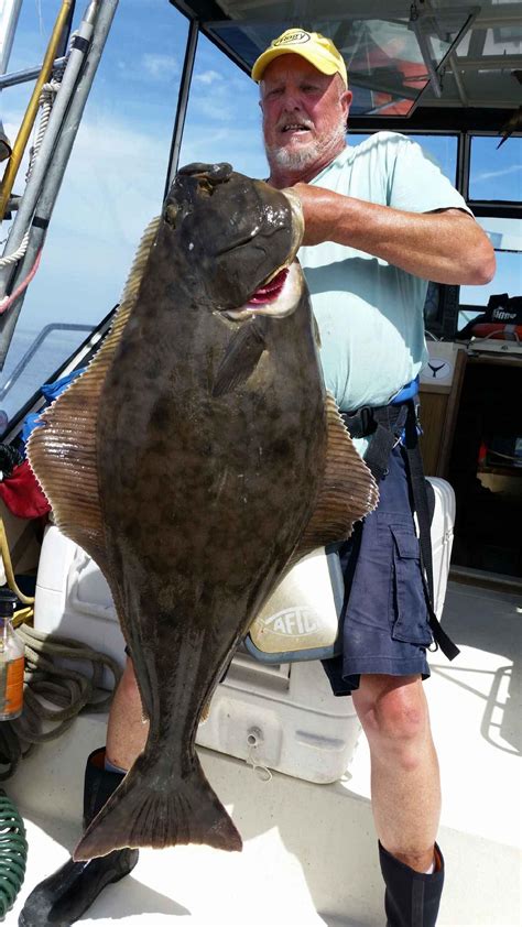 Atlantic Halibut | Coastal Angler & The Angler Magazine