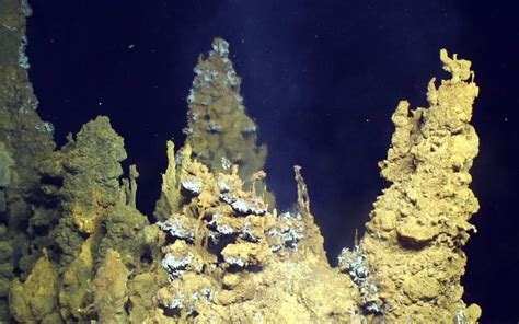 Deep sea vents had ideal conditions for origin of life | UCL News - UCL ...