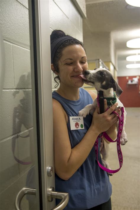 Shelter Helpers - Animal Refuge League of Greater Portland - Maine ...