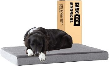 Best 6 Orthopedic Crate Pads (Beds) Ensuring Healthy Life