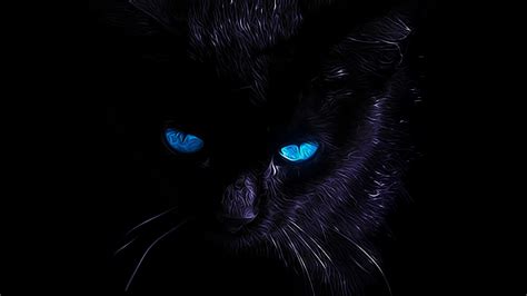 Cat Blue Eyes Wallpapers - Top Free Cat Blue Eyes Backgrounds ...