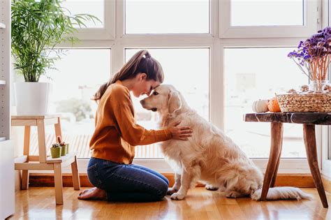 La importancia de las mascotas para la salud mental - Blog de ...