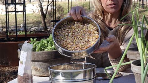 My Favorite Indoor Gardening Projects for the Winter Months • Gardenary