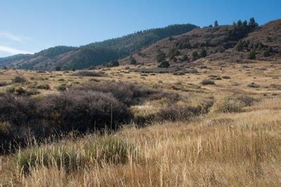 Deer Creek Canyon Park — The Colorado Mountain Club