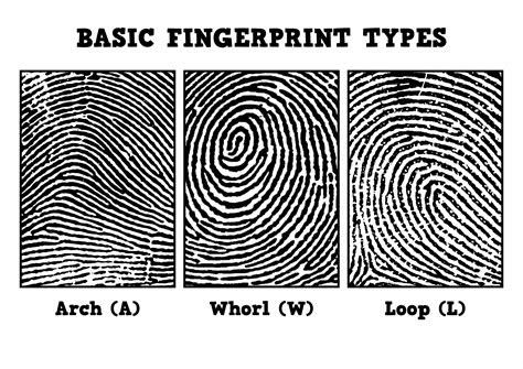 Identify Each Fingerprint Pattern Answer Key › Athens Mutual Student Corner