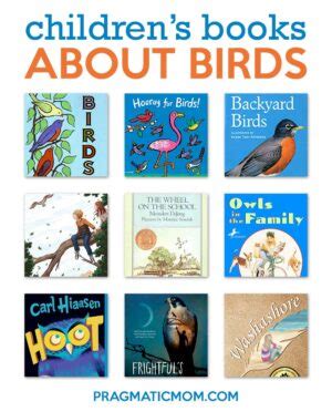 Chapter Books about Birds for Kids