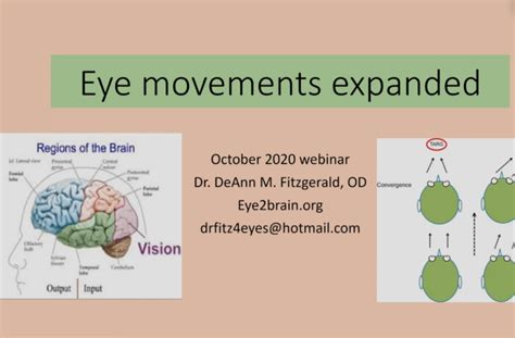 Eye Movements Expanded – October ’20 Webinar – Eye2Brain Academy