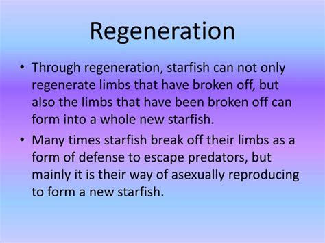 PPT - Starfish Regeneration PowerPoint Presentation - ID:2519334