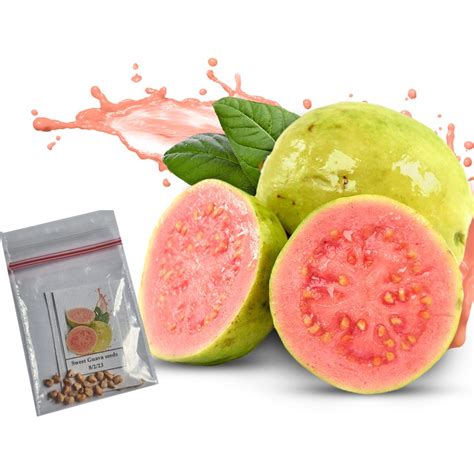 Sweet Guava seeds imported Fruit | Shopee Philippines