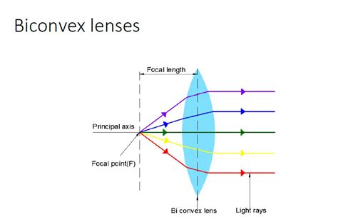 Double Convex Lenses Study Guide - Inspirit