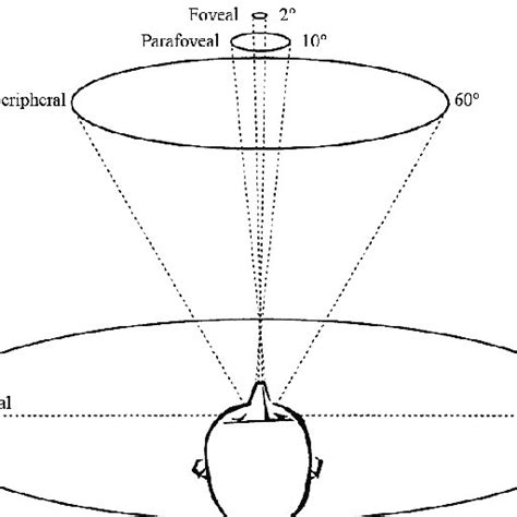 Demonstration of foveal, parafoveal, near peripheral and peripheral ...