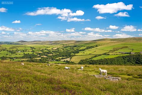 Preseli Hills - Drew Buckley Photography ~ Pembroke, Pembrokeshire