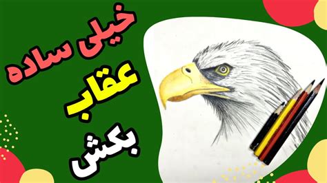 نقاشی عقاب با مداد رنگی - Drawing with colored pencil - YouTube