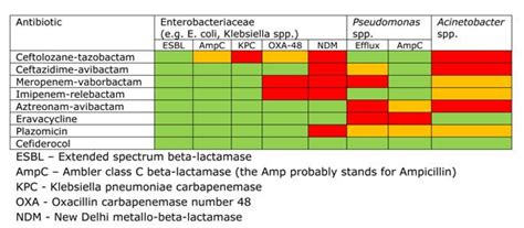 Antibiotic Spectrum Chart - Phartoonz