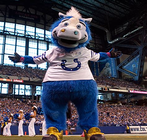 Indianapolis Colts Garden Mascot