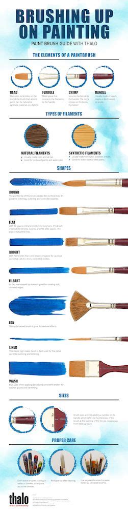 Paintbrush Anatomy, different types of paintbrushes, the brush strokes ...