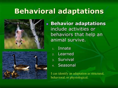 Ppt Behavioral Adaptations To The Environment Powerpoint | SexiezPix ...