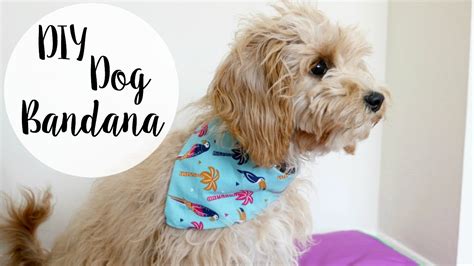 diy dog bandana no sew - ProbjodEsam