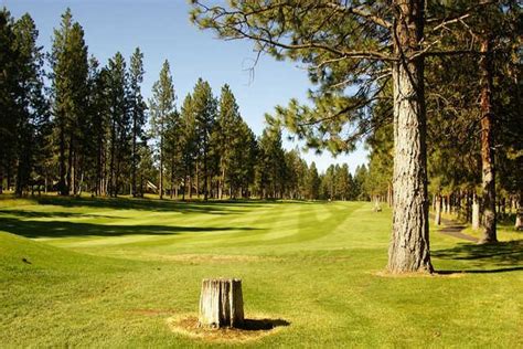 Enjoy No Fees At Widgi Creek Golf Club - Bend OR | TeeOff