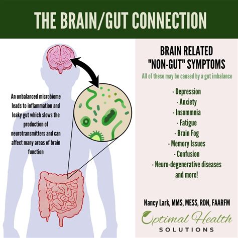 Kepentingan prebiotik dan probiotik untuk mental - Info-Sihat.My