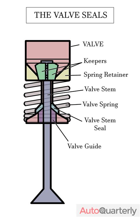 Dealing With a Bad Valve Seal - Symptoms and Solutions - Auto Quarterly