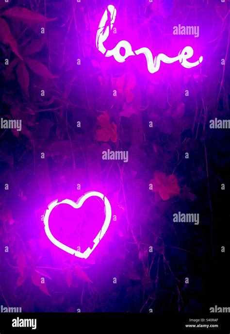 Neon love signs Stock Photo - Alamy