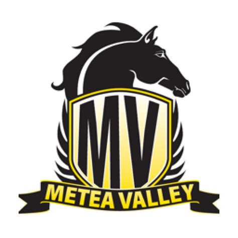 InnerView - Group Profile - Metea Valley High School