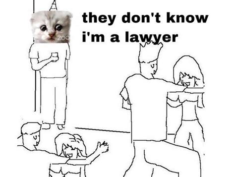 They Don't Know I'm a Lawyer | Zoom Cat Lawyer / I'm Not a Cat | Know ...