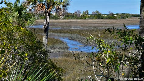 Timucuan Ecological and Historic Preserve | TIMUCUAN TRAIL