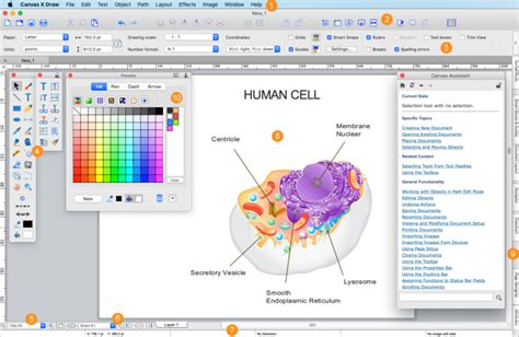 Overview of the Canvas X Draw Interface