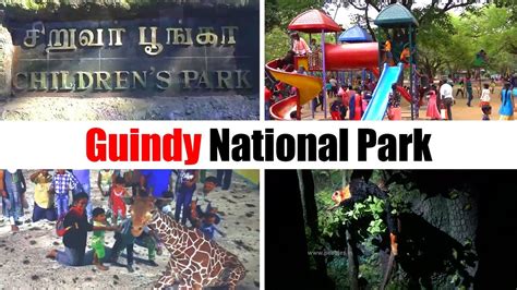 Guindy National Park - Place to Visit in Chennai | Guindy Children Park ...