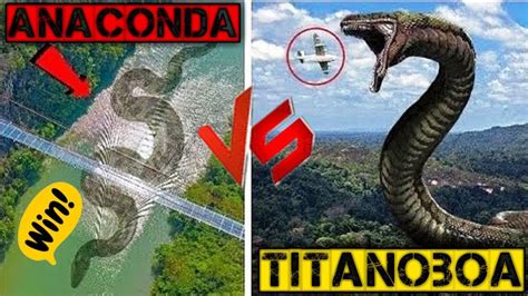 Titanoboa vs Anaconda | क्या होगा जब खूँखार टाइटेनोबोआ का मुकाबला होगा ...