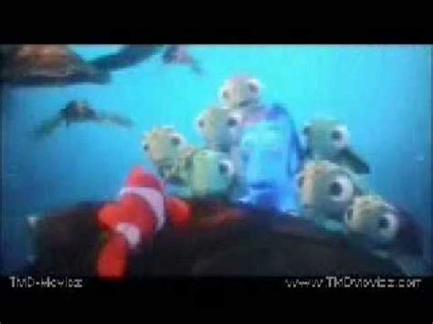 lyrics mr ray song finding nemo