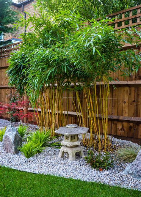 Bamboo Bliss: 10 Backyard Bamboo Garden Designs That Will Transport You ...