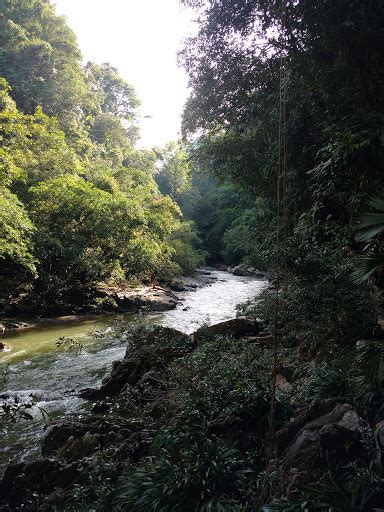 CXLI: Rio Claro river reserve