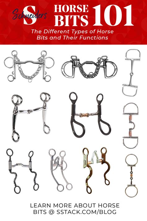 Discover the Variety of Horse Bits - A Guide to Horse Bits