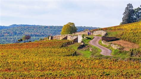 The Côte de Beaune, villages and vineyards | La Bourgogne