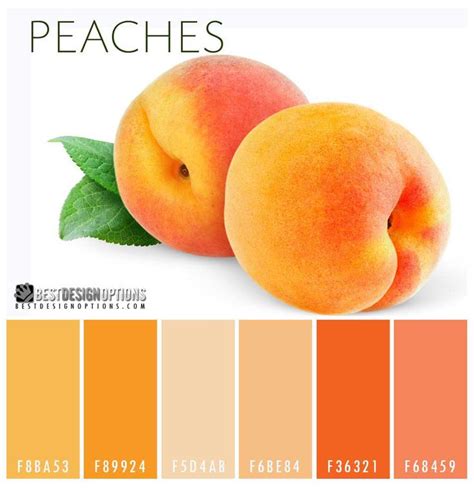 Peach Color Schemes - Good Colors For Rooms