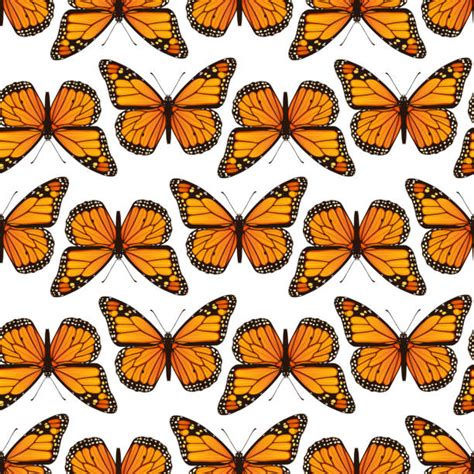 Monarch Butterfly Illustrations, Royalty-Free Vector Graphics & Clip ...