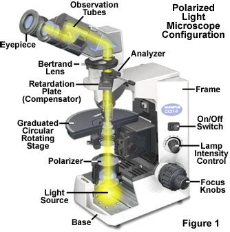 Polarized Light Microscopy - Microscope Alignment | Olympus LS