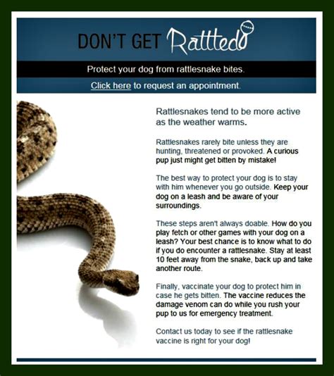 Rattlesnake Vaccine | Magley Animal Hospital