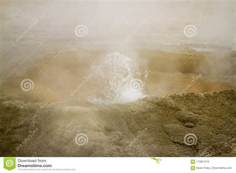 Steaming Geyser Vents at Fountain Paint Pots in Yellowstone National ...