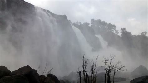 Valparai: Waterfalls, wilderness and solace - The Tap Stories