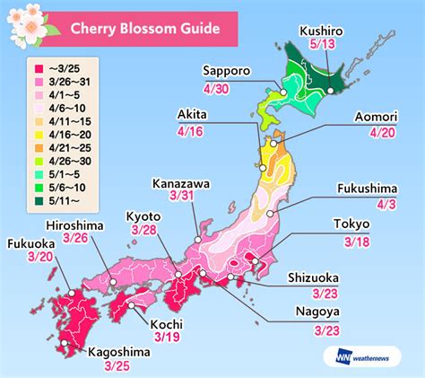 5 HIDDEN Cherry Blossom Viewing Spots in Tokyo | OTAKU IN TOKYO