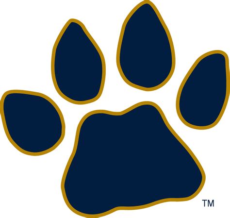 FIU Panthers Logo - Secondary Logo - NCAA Division I (d-h) (NCAA d-h ...